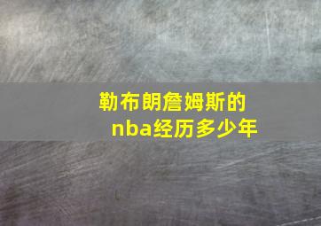 勒布朗詹姆斯的nba经历多少年