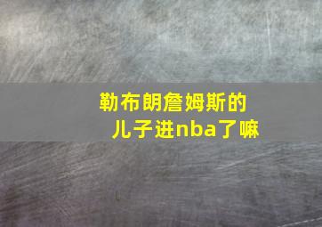 勒布朗詹姆斯的儿子进nba了嘛