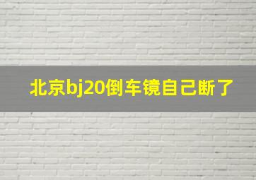 北京bj20倒车镜自己断了