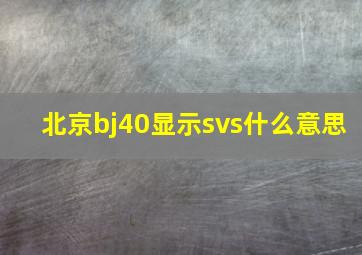 北京bj40显示svs什么意思