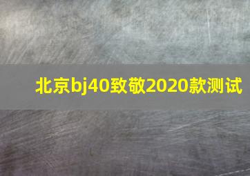 北京bj40致敬2020款测试