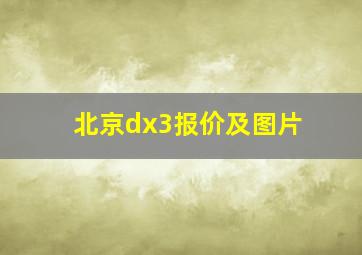 北京dx3报价及图片