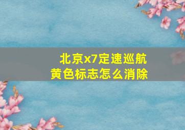 北京x7定速巡航黄色标志怎么消除