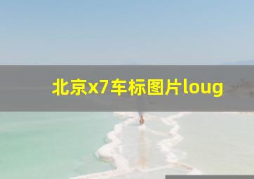 北京x7车标图片loug