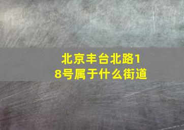 北京丰台北路18号属于什么街道