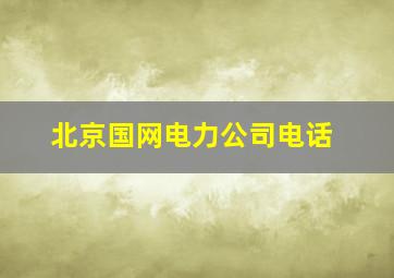 北京国网电力公司电话