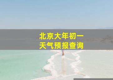 北京大年初一天气预报查询