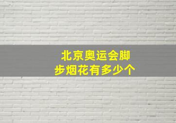 北京奥运会脚步烟花有多少个