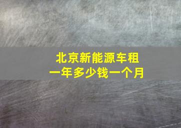 北京新能源车租一年多少钱一个月