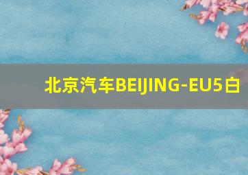 北京汽车BEIJING-EU5白