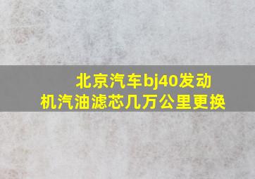 北京汽车bj40发动机汽油滤芯几万公里更换