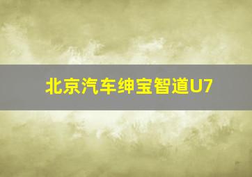 北京汽车绅宝智道U7