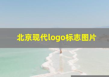 北京现代logo标志图片