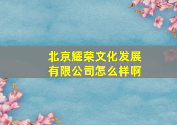 北京耀荣文化发展有限公司怎么样啊