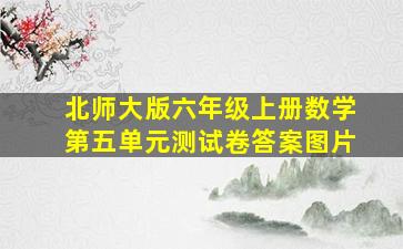 北师大版六年级上册数学第五单元测试卷答案图片