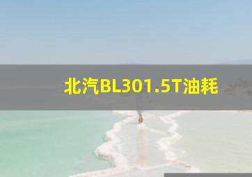 北汽BL301.5T油耗