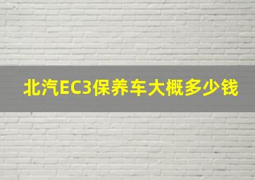 北汽EC3保养车大概多少钱