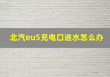 北汽eu5充电口进水怎么办