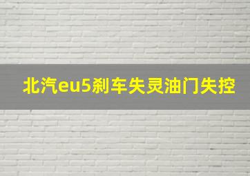 北汽eu5刹车失灵油门失控