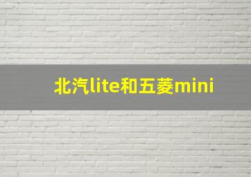 北汽lite和五菱mini