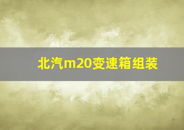 北汽m20变速箱组装