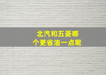 北汽和五菱哪个更省油一点呢