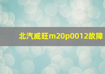 北汽威旺m20p0012故障