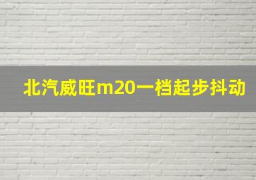 北汽威旺m20一档起步抖动