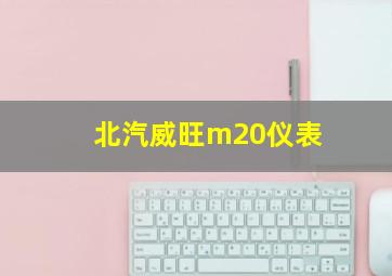 北汽威旺m20仪表