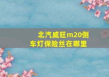 北汽威旺m20倒车灯保险丝在哪里