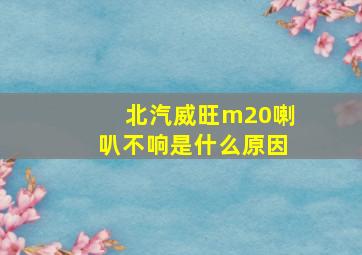 北汽威旺m20喇叭不响是什么原因