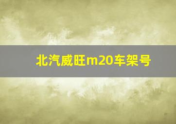 北汽威旺m20车架号