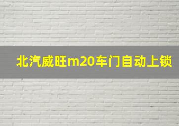 北汽威旺m20车门自动上锁