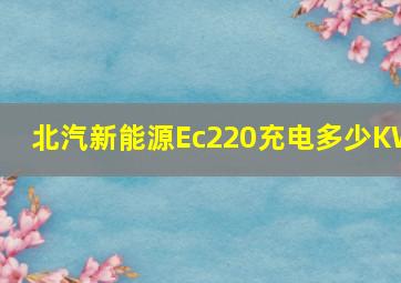 北汽新能源Ec220充电多少KW