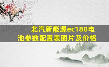 北汽新能源ec180电池参数配置表图片及价格