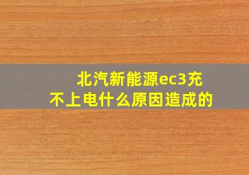 北汽新能源ec3充不上电什么原因造成的