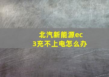 北汽新能源ec3充不上电怎么办