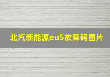 北汽新能源eu5故障码图片