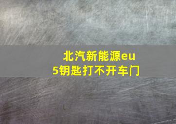 北汽新能源eu5钥匙打不开车门