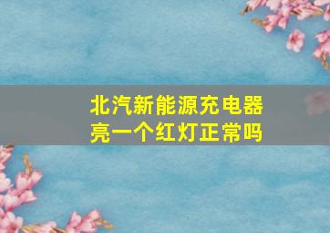 北汽新能源充电器亮一个红灯正常吗