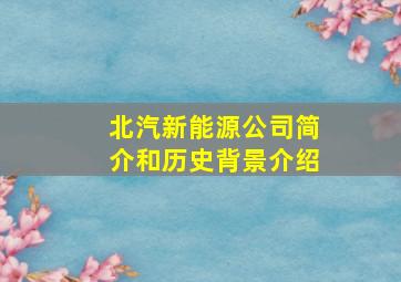 北汽新能源公司简介和历史背景介绍