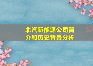 北汽新能源公司简介和历史背景分析