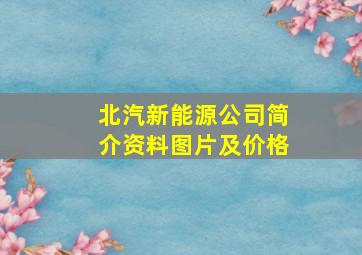 北汽新能源公司简介资料图片及价格