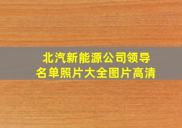 北汽新能源公司领导名单照片大全图片高清