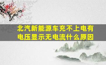 北汽新能源车充不上电有电压显示无电流什么原因