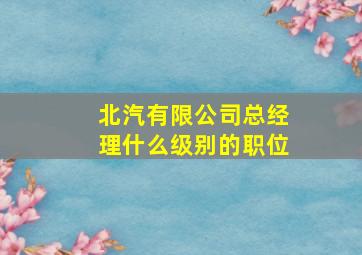 北汽有限公司总经理什么级别的职位