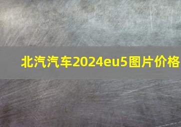 北汽汽车2024eu5图片价格