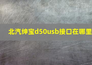 北汽绅宝d50usb接口在哪里