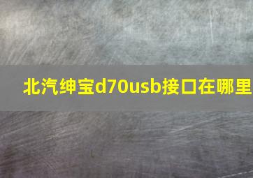 北汽绅宝d70usb接口在哪里