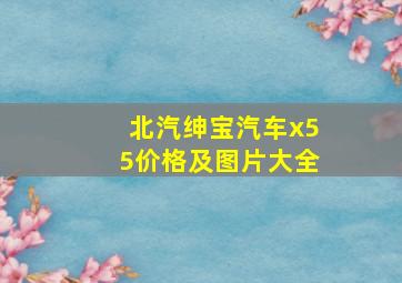 北汽绅宝汽车x55价格及图片大全